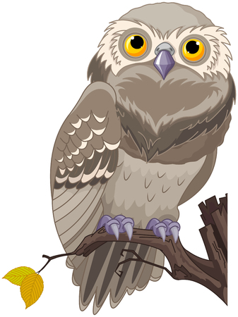 Illustration of an owl sits on a branchのイラスト素材
