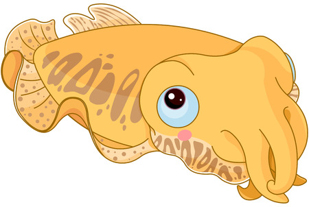 Illustration of cute cuttlefishのイラスト素材