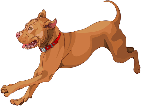 Illustration of running dogのイラスト素材