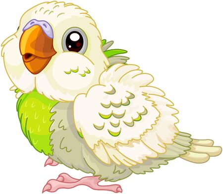 Illustration of cute baby parakeetのイラスト素材
