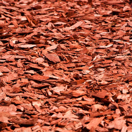 wood chips backgroundの写真素材