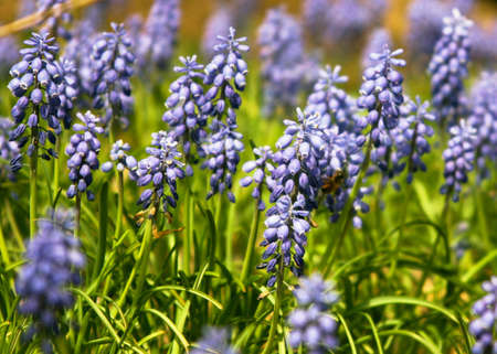 Bright spring colorsの素材