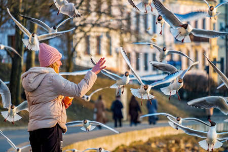 Minsk, Belarus - March 24, 2022: A girl feeds seagulls on the embankment of the Svisloch river in the spring eveningのeditorial素材