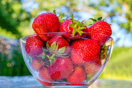 Strawberry. Large freshly picked strawberries in glass container. Rays of sunの写真素材