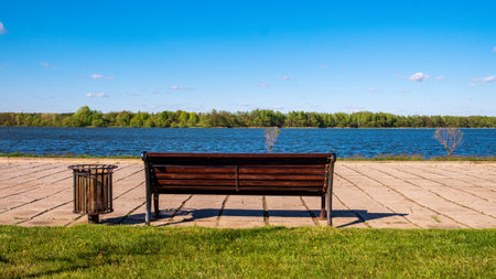 <p>The city park. An empty bench overlooking the water surface. Rear view</p>の写真素材