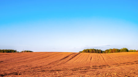 Plowed agricultural field in the rays of the evening sun. Rich, warm colorsの写真素材