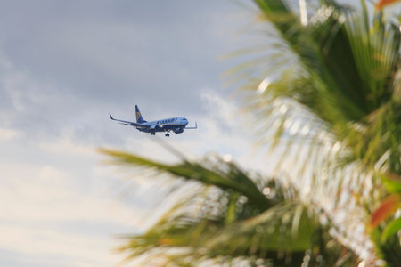 Airplane Boeing 737-8AS Ryanair landing in Tenerife aiport