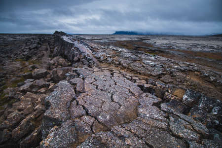 Wrinkled ground near Surtshellir cave summer seasonの写真素材