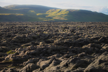 Lava field and lava rocks covered by the moss, panorama