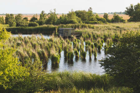 Bird watching hut in Denmark at summer seasonの写真素材