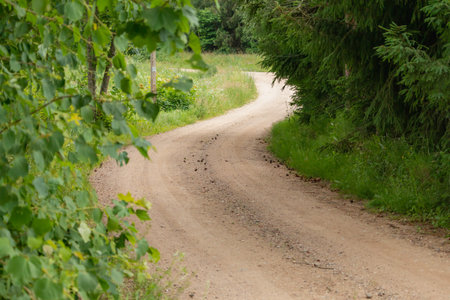 Curvy gravel countryside road in the Lithuania