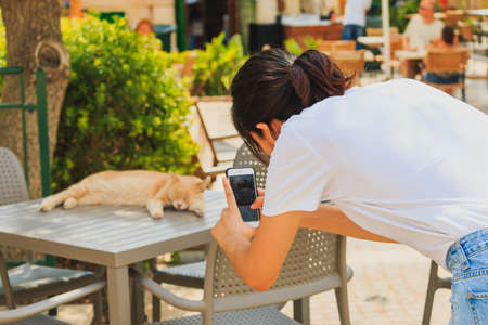 Girl is photographing a cat while cat sleep on tableの写真素材