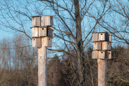 Two towers with multiple birds houses at winter season day time