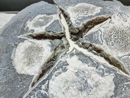 The Bornholm diamond is created quartz. Also called rock crystal SiO2の写真素材