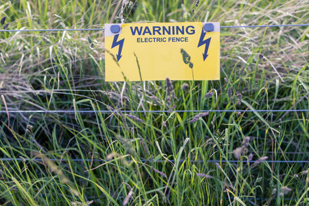 Warning - Electric fence guards a meadow and animals field. Summer season.の写真素材