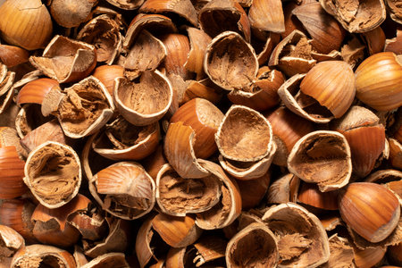 FILBERT HAZELNUT SHELLS BULK - close macro photo.