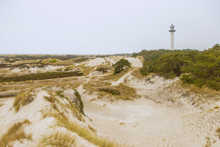 Sand dunes Dueodde beach Bornholm beautiful Denmarks island - wild natureの写真素材