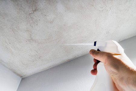 Spray to prevent mold on bathroom ceiling - moist indoor environment - Denmarkの写真素材