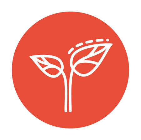 Flat leaves icons. Vector illustration. Leaf Iconのイラスト素材