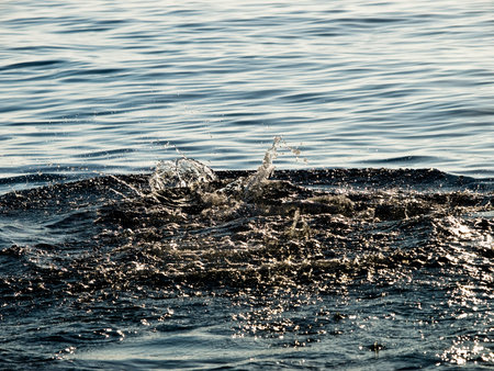 Diving in a calm and meditating environment.