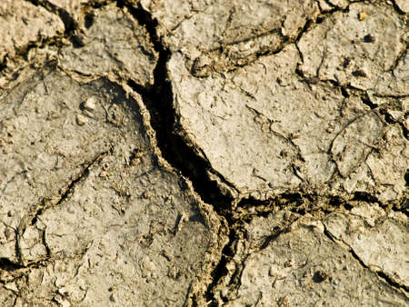 Dry ground detail with one crack in front.の写真素材