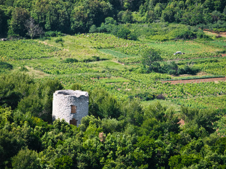 World war two bunker on top of the hill at island Lastovo, Croatiaの写真素材