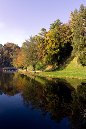 Forest in a park of castle Trakoscan, Croatia, Europeの写真素材