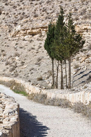 Machaerus (Mukawir) hill detail. Path to the top - Jordan. Place of execution of John the Baptist. の写真素材
