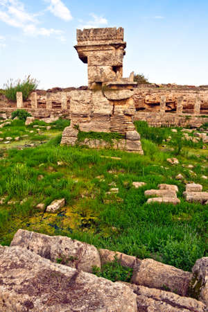 Amrit (Marathus). An ancient Phoenician site south of Tartus. Temple of the god Melkart    (Hercules)の写真素材