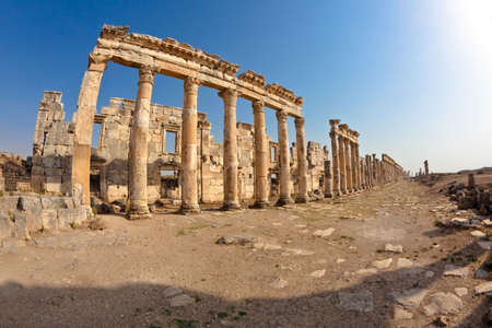 Pompey made Apamea (Apameia) or Afamia (Arabic) part of the Roman Empire in Syria. Cardo maximus street with columns. Roman and Byzantine periodの写真素材