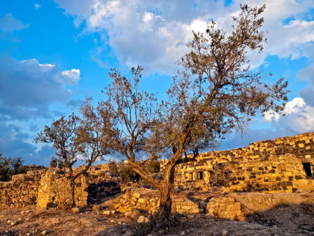 Umm Qais (Gadara), Jordan. City ruinsの写真素材