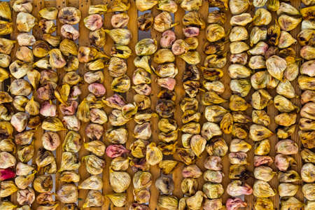 Early stage in preparation of dried figs, typical traditional Mediterranean food.の写真素材