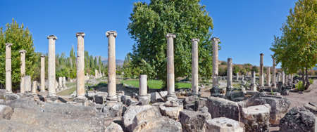 South Agora (town square) detail with Ionic columns in Aphrodisias (Turkey) build during Hellenistic and Roman period. In Roman time it was a small city in Caria.のeditorial素材