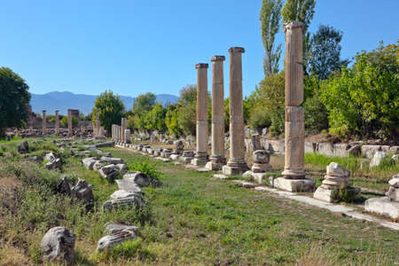 South Agora (town square) detail with Ionic columns in Aphrodisias (Turkey) build during Hellenistic and Roman period. In Roman time it was a small city in Caria.のeditorial素材