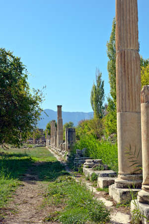 South Agora (town square) detail with Ionic columns in Aphrodisias (Turkey) build during Hellenistic and Roman period. In Roman time it was a small city in Caria.のeditorial素材