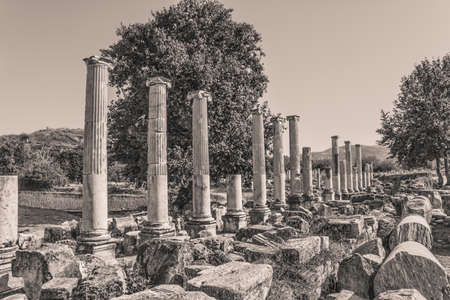 South Agora or town square detail with Ionic columns in Aphrodisias (Turkey) build during Hellenistic and Roman period. In Roman time it was a small city in Caria.の写真素材
