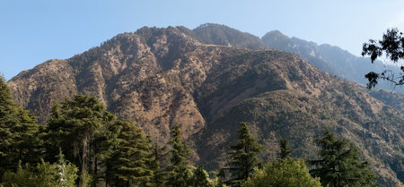 View on the hill near Dharamsala, in Himalaya mountains.