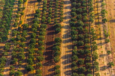 Helicopter aerial shoot of Mediterranean landscape. Location: near Biograd, Croatia.Photo taken...