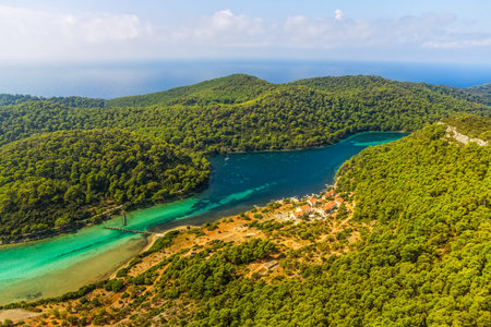 Aerial helicopter shoot of National park on island Mljet, Dubrovnik archipelago, Croatia. The oldest pine forest in Europe preserved.の写真素材