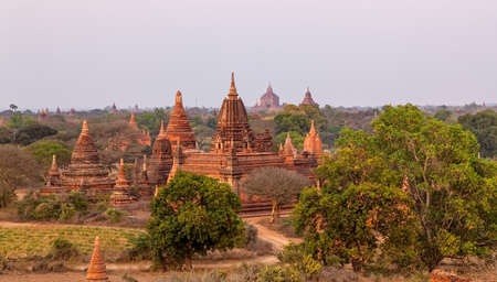 Pagodas hidden in the vegetationの写真素材