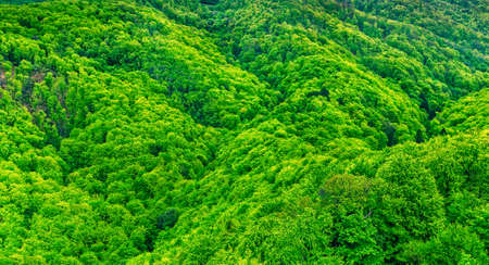 Hills and forests, mautain Medvednica near Zagreb, Croatia の写真素材