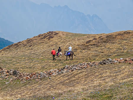 HIMALAYA, INDIA - APRIL 8, 2010: Trekking in the Himalayas, two mules and three men.のeditorial素材