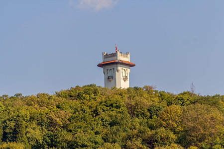 View of the Beykoz Khedive Palace tower sailing Bosporus.