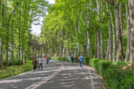 TEHRAN, IRAN - MAY 1, 2015:  The southern entrance to the park Zafaranieh, walkers walk to the Green Palace in a beautiful sunny day.のeditorial素材