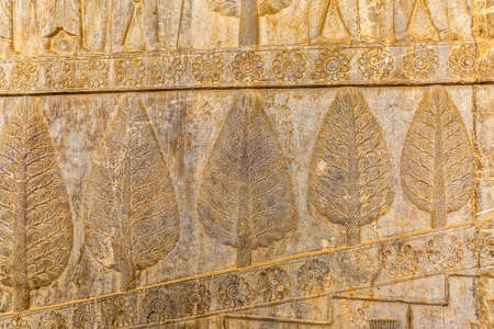 Stone bas-relief of the trees and flowers carved on the stairway facade of the Apadana at the old city Persepolis.の写真素材