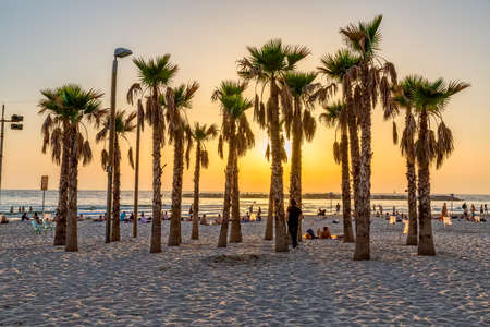 TEL AVIV, ISRAEL - JUNE 18, 2015: People enjoying the sea sunset by the palm trees on the beach.のeditorial素材