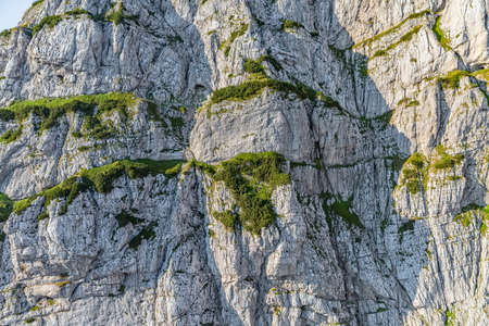 Helicopter aerial photo of the river Tara canyon wall in Montenegro continental part and mountain nature.の写真素材