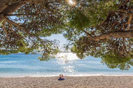 Sunbathing under the pine tree on the Tucepi town beach.の写真素材