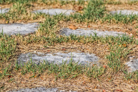 Old stone roadの写真素材