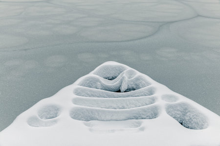 simple bridge in the lake